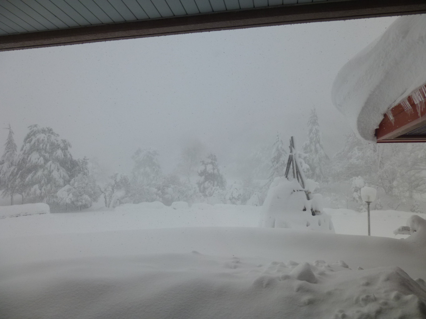 12月15日より降雪 冬期クローズ