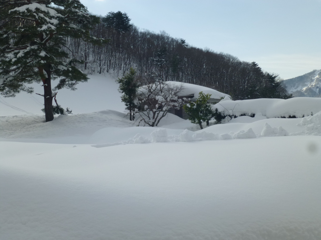 明けましておめでとうございます。