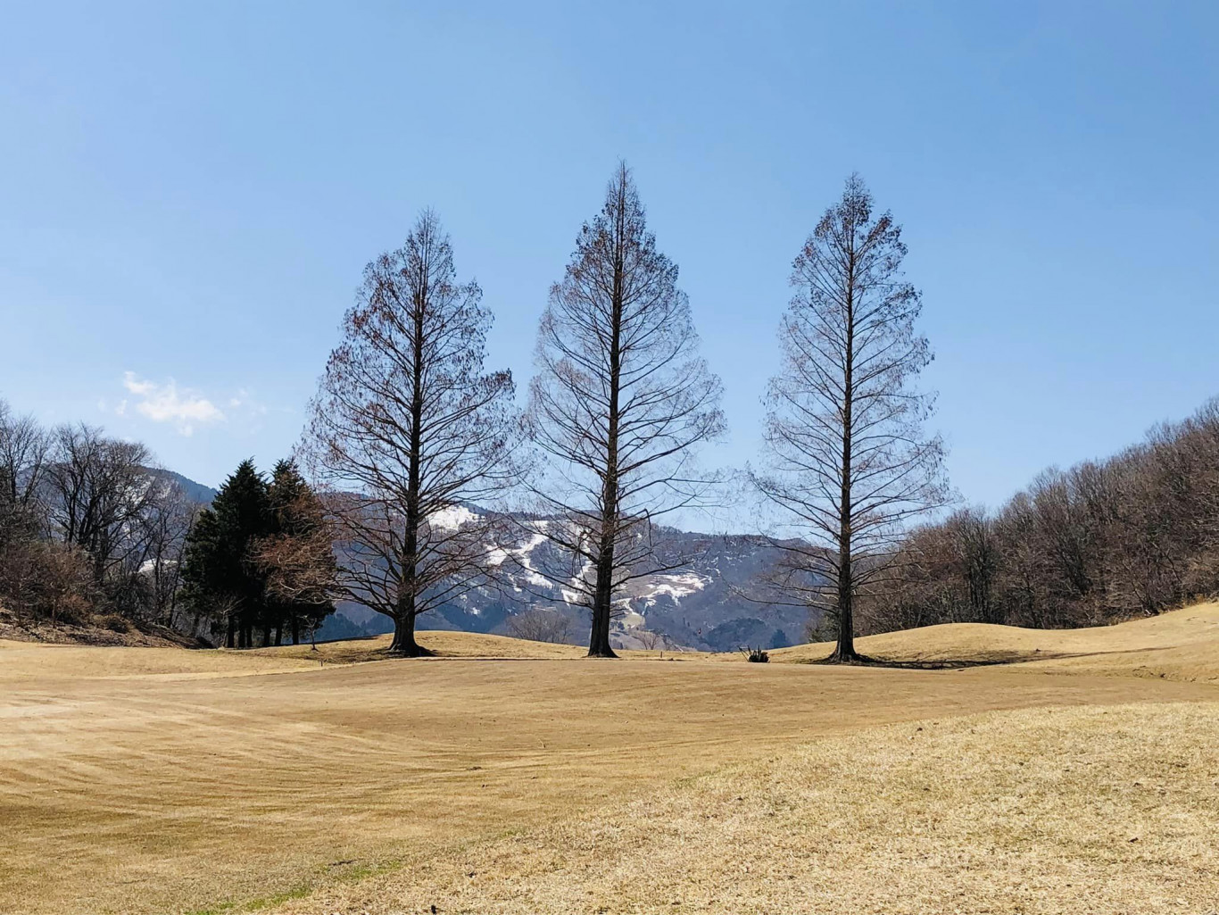 営業開始のお知らせ